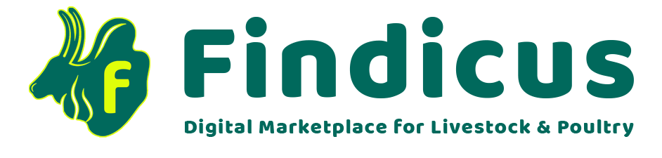 Findicus-Web-logo